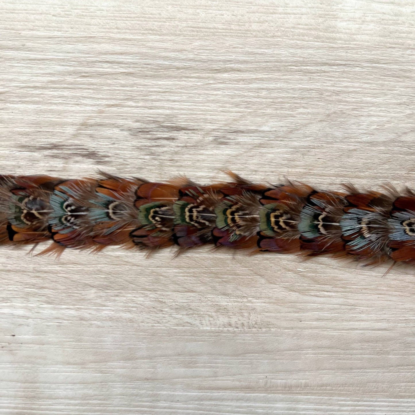Western Feather Brazos Hat Band