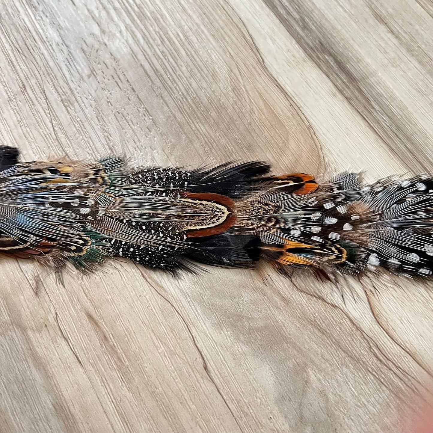 Feather Hat Band - Falcon