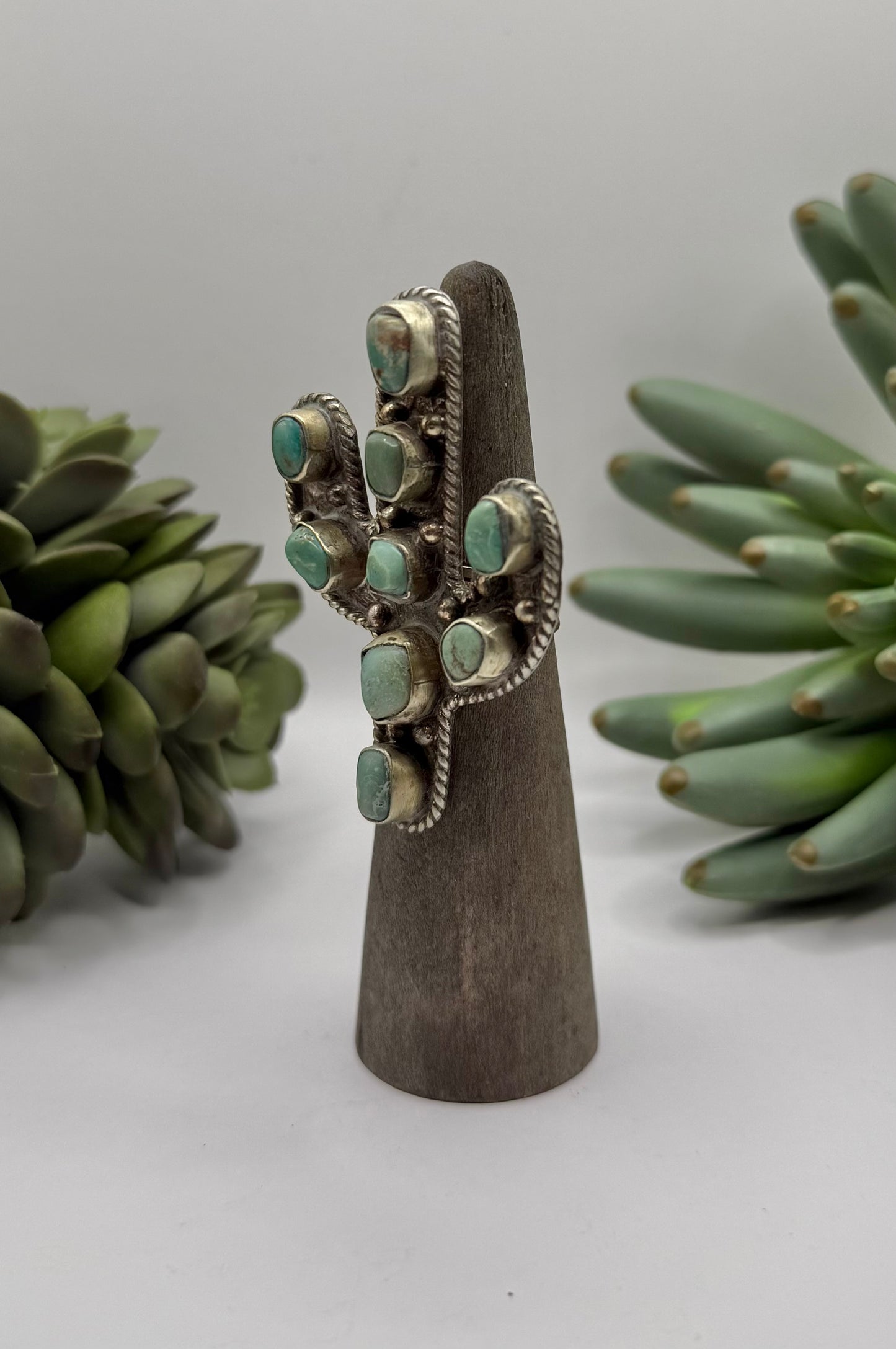 Rustic Turquoise Cactus