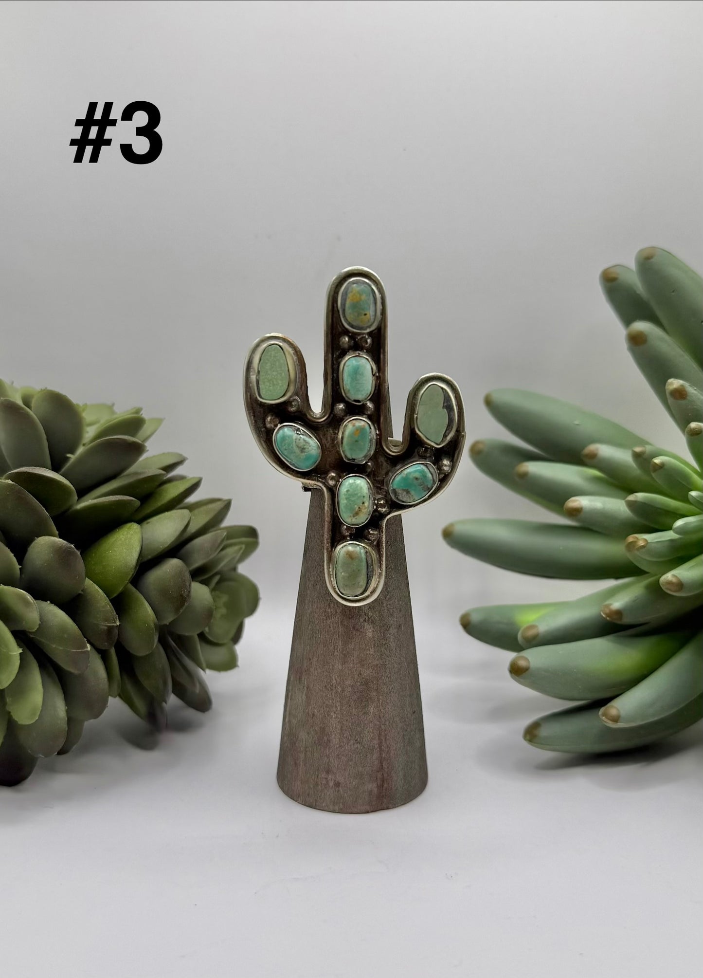 Rustic Turquoise Cactus