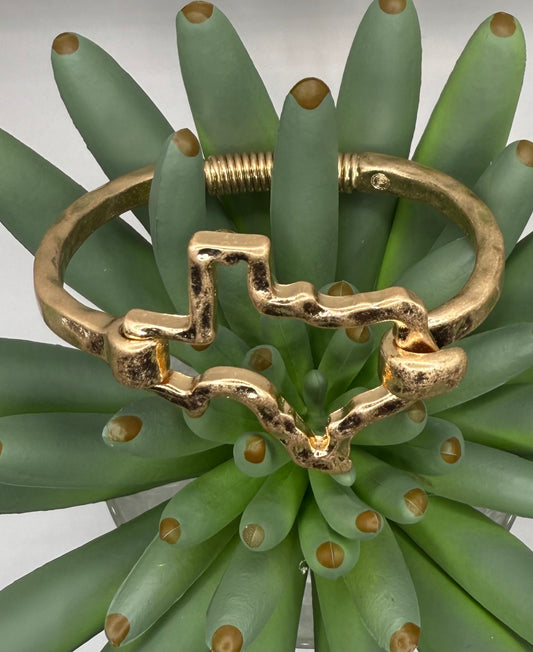 Spring Loaded Texas Bracelet