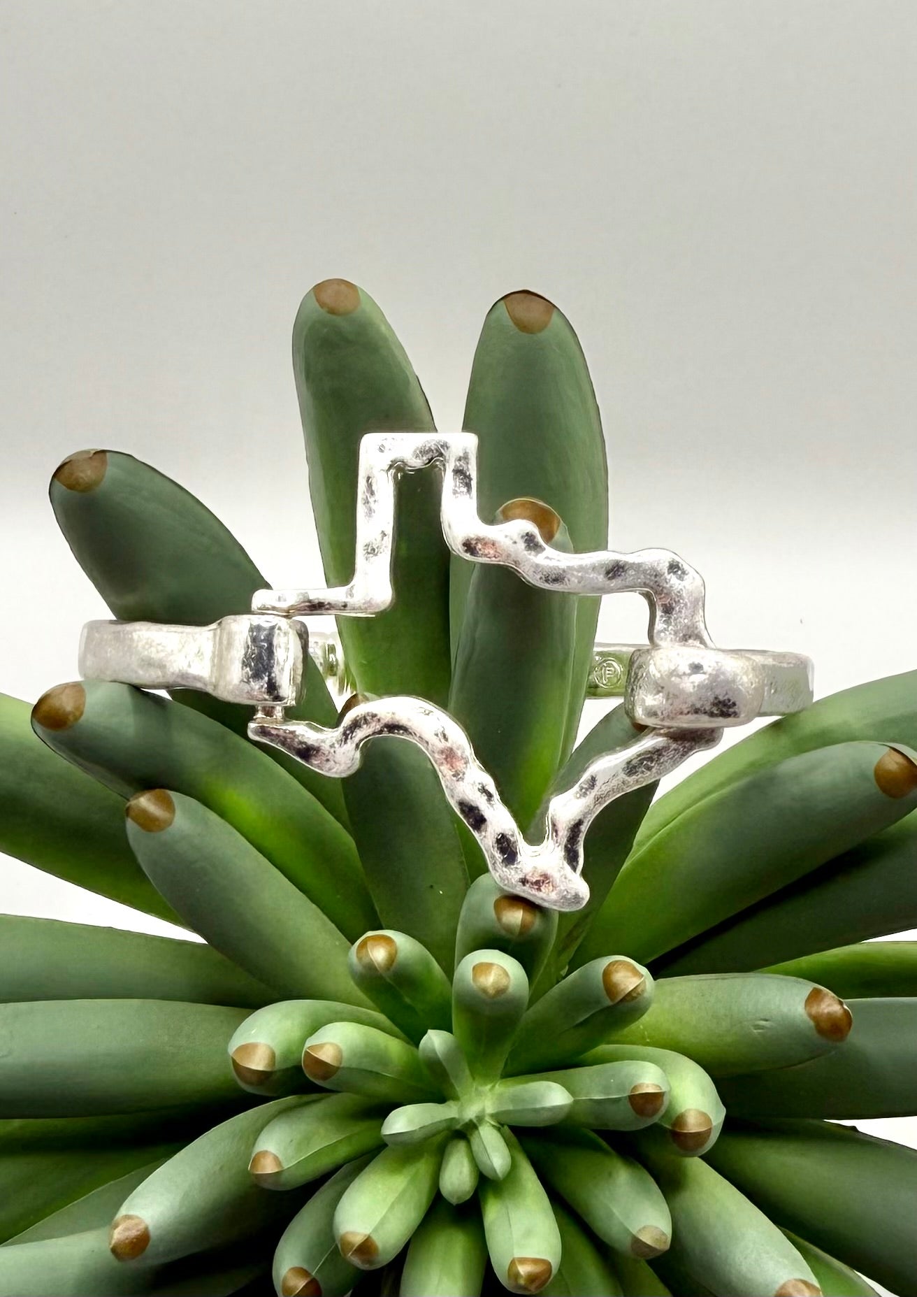 Spring Loaded Texas Bracelet