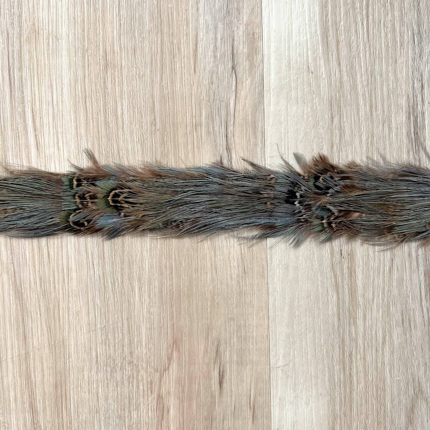 Feather Hat Band - Dove I